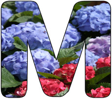 Deko-Buchstaben-Blumen_M.jpg